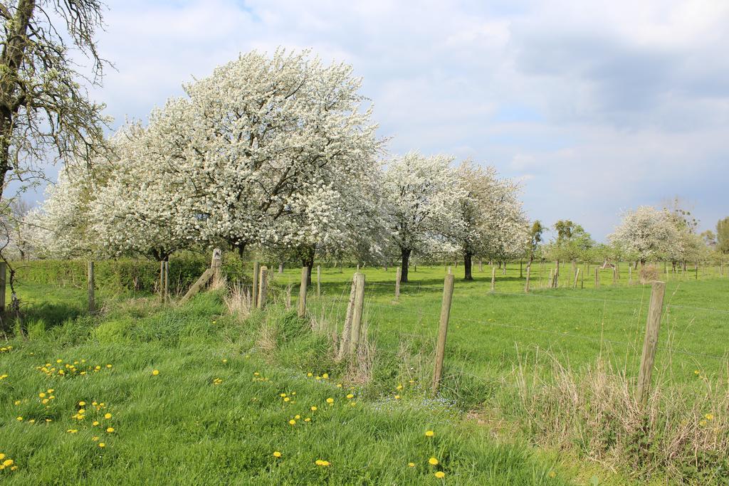 B&B De Vroling Wellen Luaran gambar